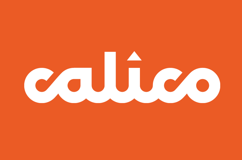 The image prominently displays the words "Calico Homes" in bold, white lowercase letters against an orange background. A small white triangle cleverly perches above the "i," enhancing the design of this eye-catching logo. ©Mobysoft