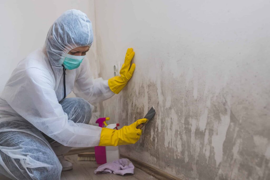 Person in protective suit and mask cleaning mold from a wall with a scraper. They are wearing yellow gloves, and cleaning supplies, including a bottle and cloth, are on the floor nearby. The room has a wooden floor and white walls. ©Mobysoft